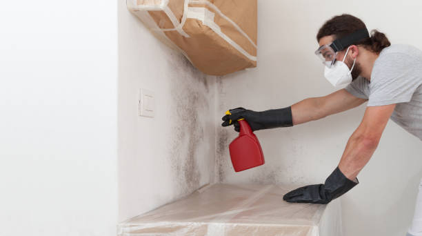 Professional Bathroom Mold Removal technician working in Walloon Lake, MI